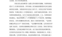 读《总想回到你身边》有感