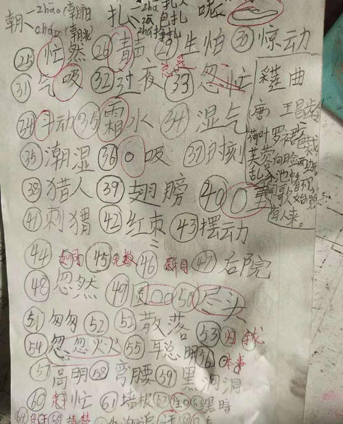 粗心的数学问题