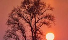 这个冬季不一样