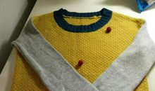 一件丢失的毛衣的叙述