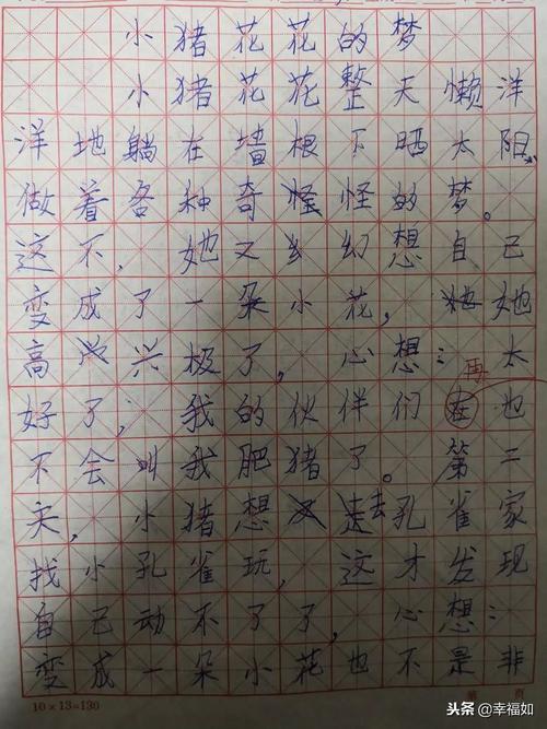 小猪减肥组合400字