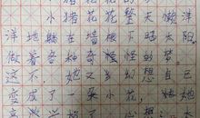 小猪减肥作文400字