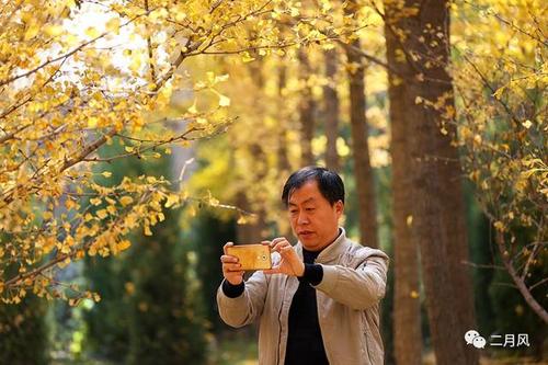 与银杏相遇