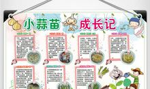 观察日记二大蒜成长记