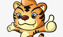 我的“小老虎”