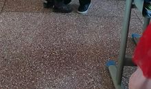 李老师，您辛苦了