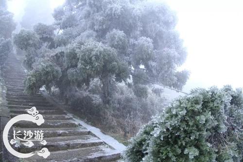 米斯洛克黑麋峰
