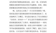 想写你的名字作文800字