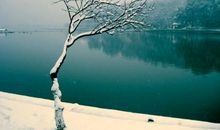 雪靓西湖