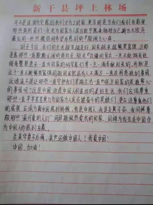 看了抗日战争英雄