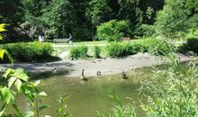 我发现公园真美