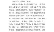 可爱的大闸蟹作文