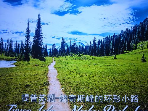 品尼武亨