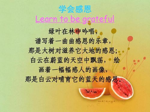 你是我最感激的人