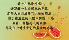 你是我最感激的人作文800字初中