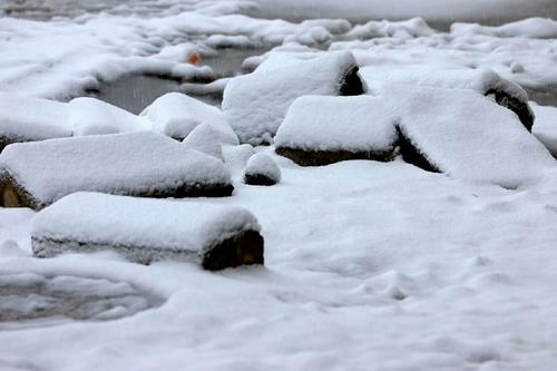雪趣