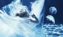 不舍弃无以致远