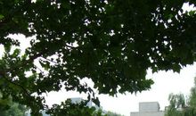 我最喜欢的校园一角