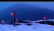 沙漠里的两粒种子读后感