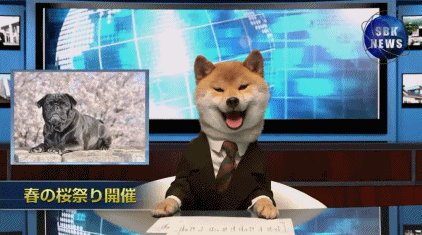 我是个小报童