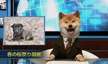 我当了一回小报童