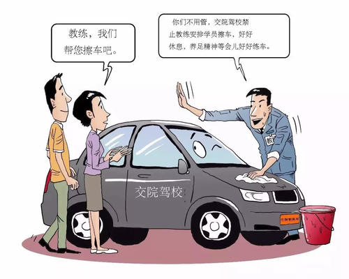 关于驾校的有趣事实