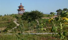 美丽的虎山公园