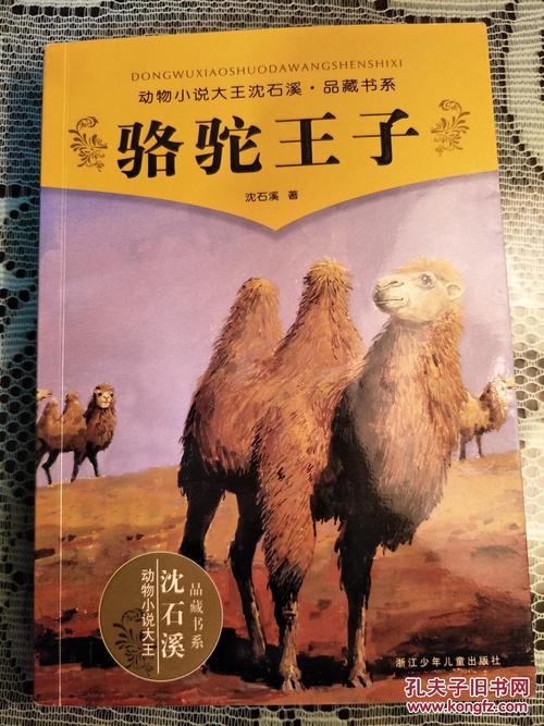 关于阅读《骆驼王子》的思考