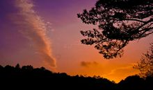 别有天地非人间