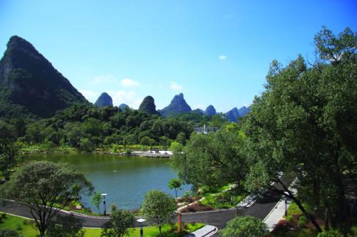 在院子里的美丽景色