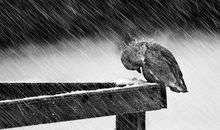 读《失败了再爬起来》有感