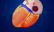 “母亲”的“心脏”