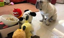 我的“倔牛”爷爷