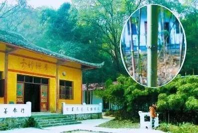 美丽的方竹寺
