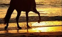 苦难能使人蜕变