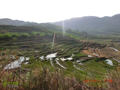 坟墓在山上扫荡