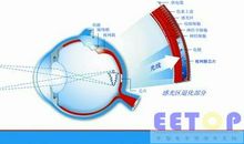 智慧被火柴点亮