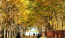 校园里面的美景