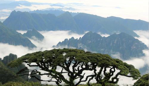 魔幻山峰