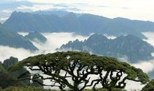 神奇山峰——美女峰
