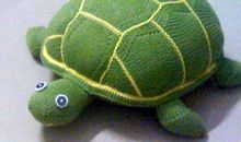 我观察了小乌龟