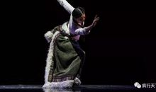 壮壮老师和何小兔读后感