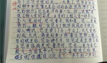 一篇关于拟人的作文