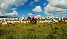 不算遥远的地方