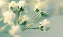 听，阳光的声音