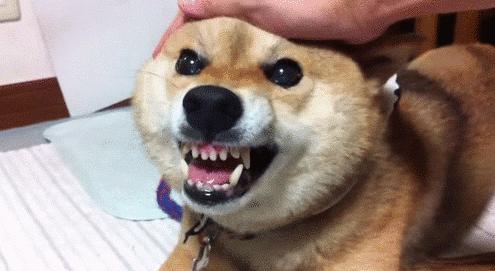 不要听