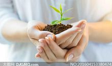捧一捧泥土留一手芳香