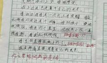 难忘我的小学老师作文