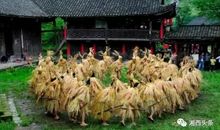 我的咚咚喹创新行动