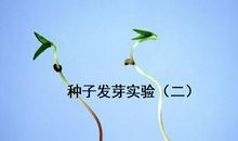 青春的种子发芽了